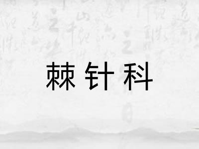 棘针科