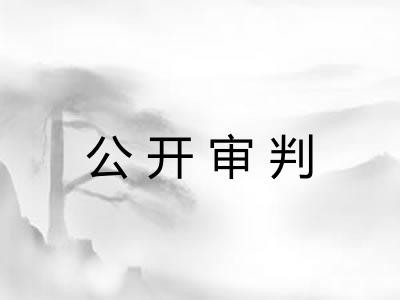 公开审判
