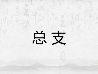 总支