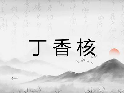 丁香核