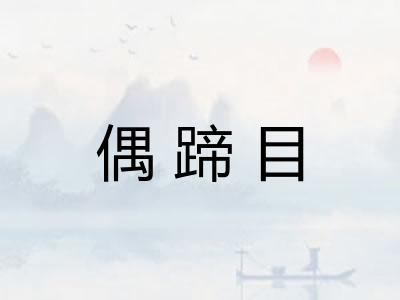 偶蹄目