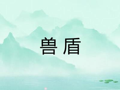 兽盾