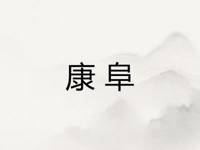康阜