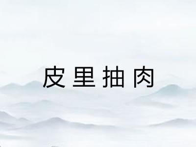 皮里抽肉