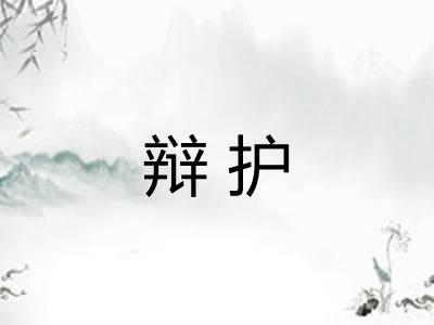 辩护