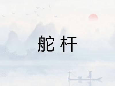 舵杆