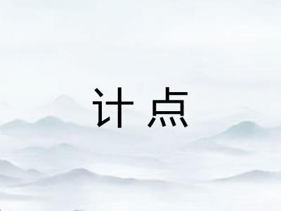 计点