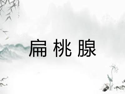 扁桃腺