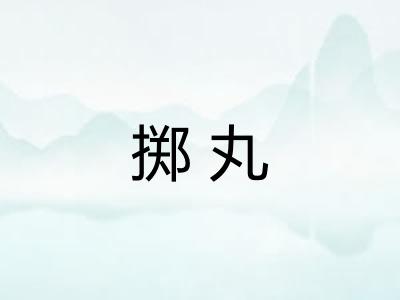 掷丸