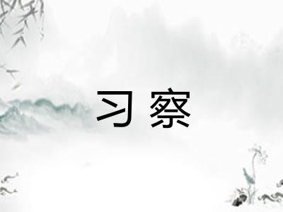 习察
