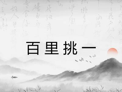百里挑一