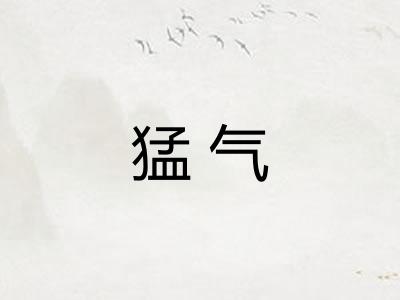 猛气