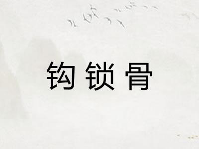 钩锁骨