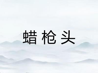 蜡枪头