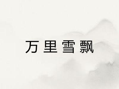 万里雪飘