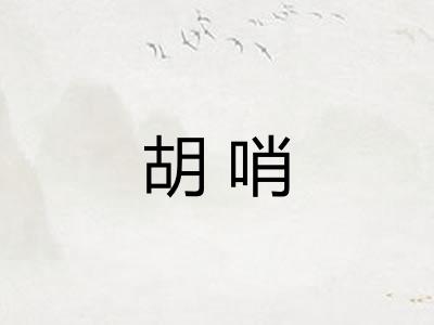 胡哨