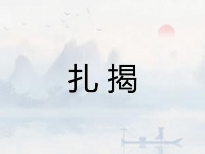 扎揭