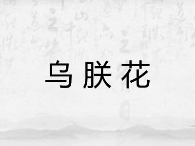 乌朕花