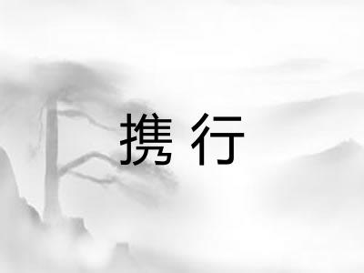 携行