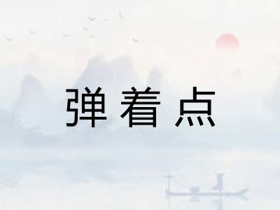 弹着点