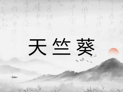 天竺葵