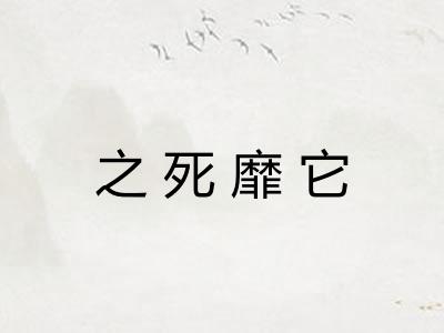 之死靡它