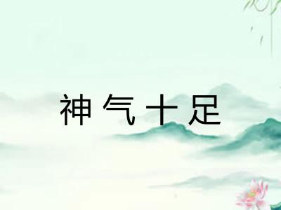 神气十足