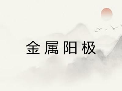 金属阳极