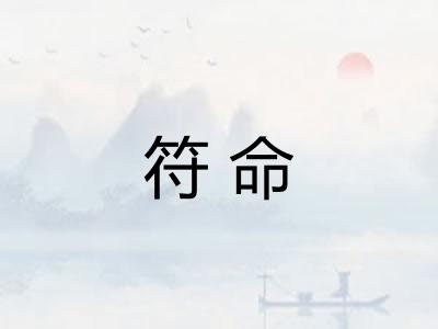 符命