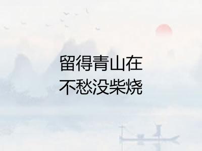 留得青山在不愁没柴烧