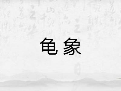 龟象