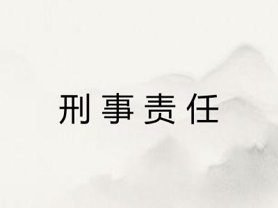 刑事责任