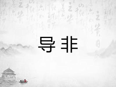 导非