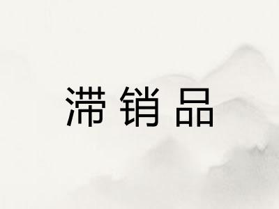滞销品