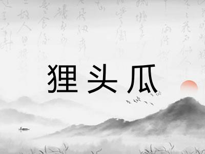 狸头瓜