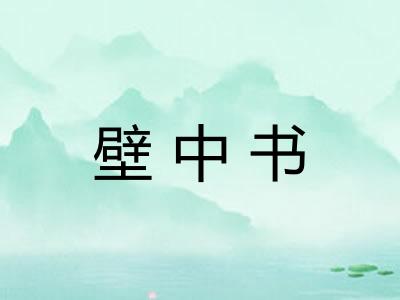 壁中书