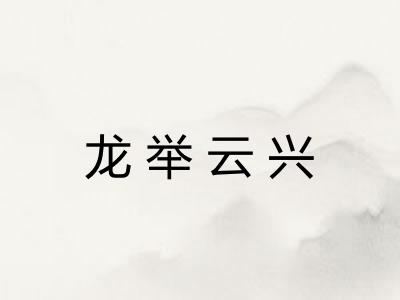 龙举云兴