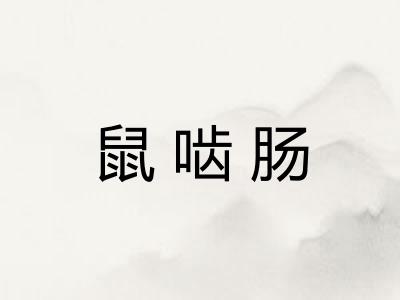 鼠啮肠