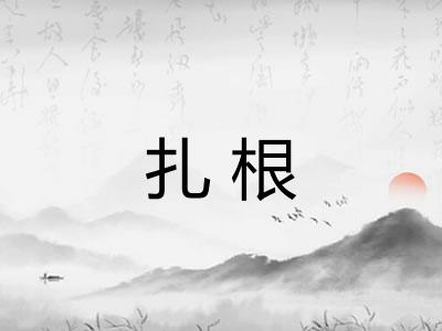 扎根