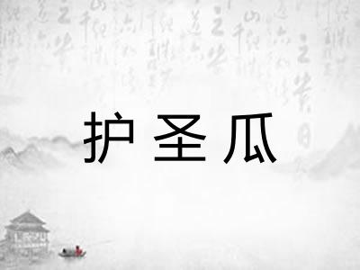 护圣瓜