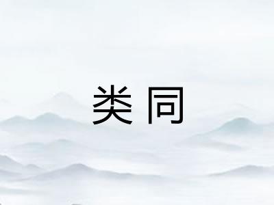 类同