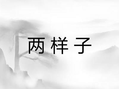 两样子
