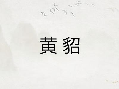 黄貂