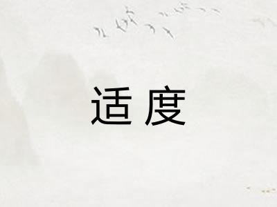 适度
