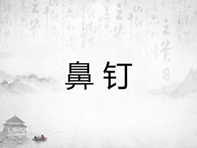 鼻钉