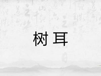 树耳