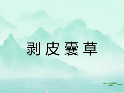 剥皮囊草