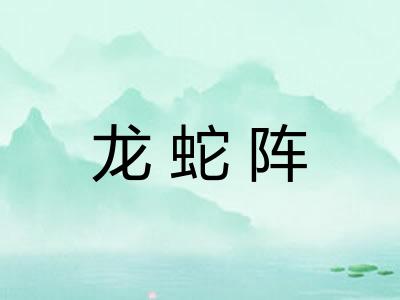 龙蛇阵