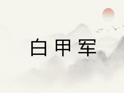 白甲军