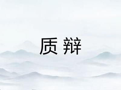 质辩